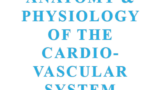 Anatomy & Physiology of the Cardiovascular System