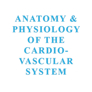 Anatomy & Physiology of the Cardiovascular System
